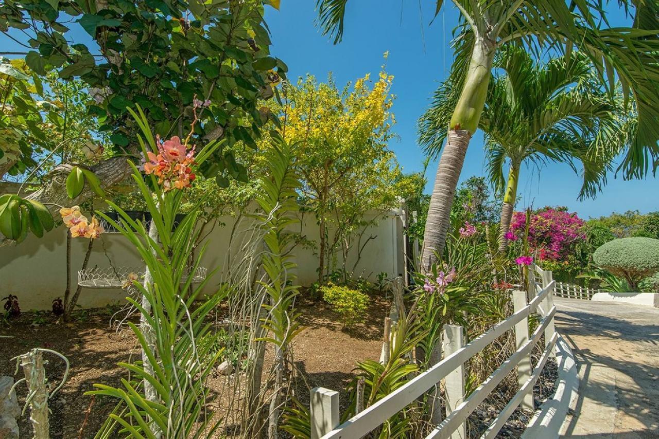 Luxury Villa Sleeps 6, Beach Access, Montego Bay Eksteriør billede